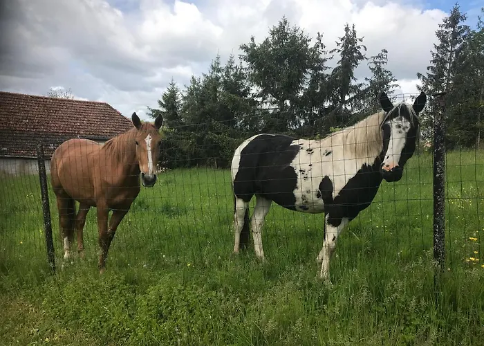 Sainte Barbe 别墅 米尔库尔