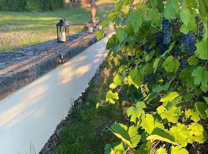 Sainte Barbe 别墅 *